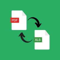 Bank Statement - PDF to XLS